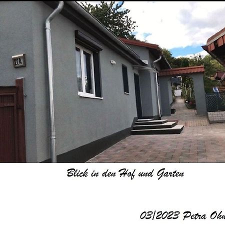 Ferienhaus Im Harz هارتسغروده المظهر الخارجي الصورة
